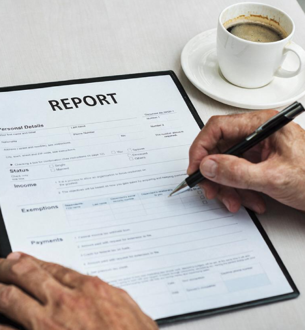 Custom Country Expert Report Services