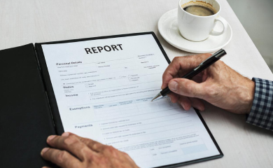 Custom Country Expert Report