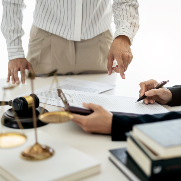 Litigation & Appeals Services