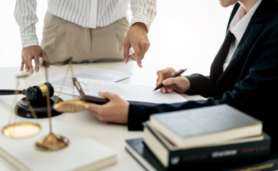 Litigation & Appeals